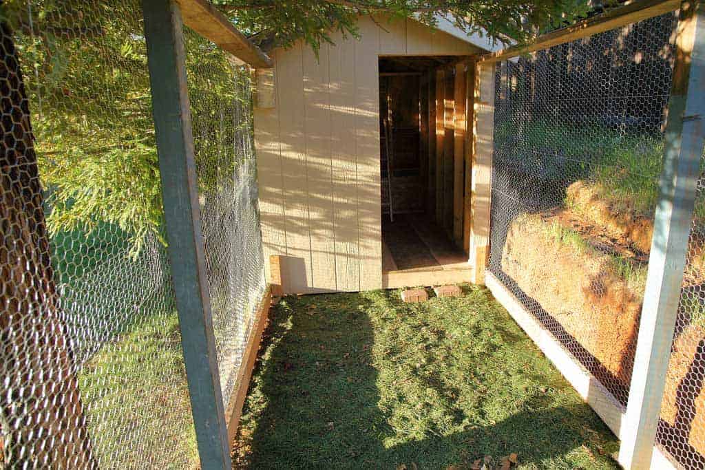 roaming area for chickens